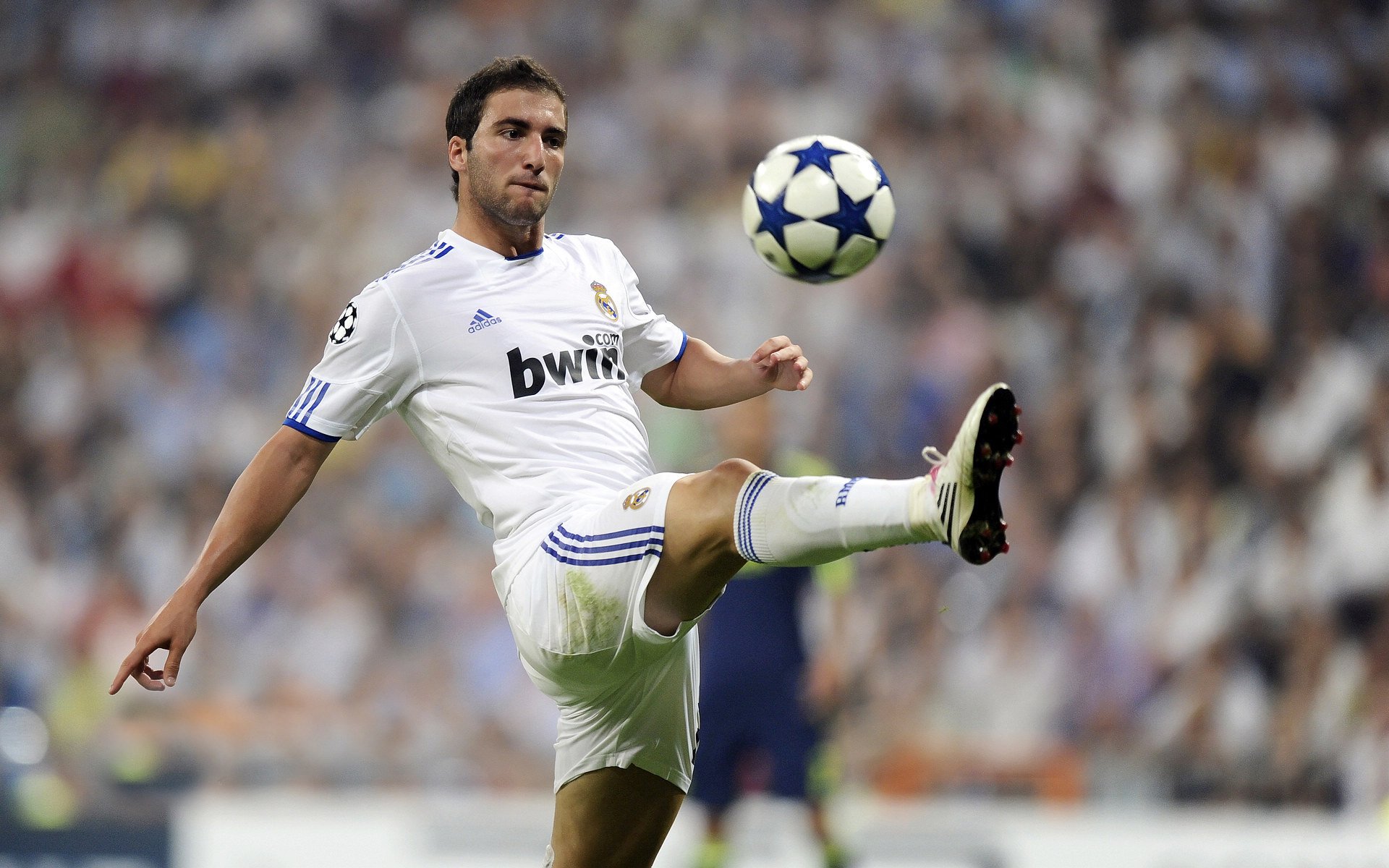 伊朗国家队阵容深度增强,伊朗国家队球员名单