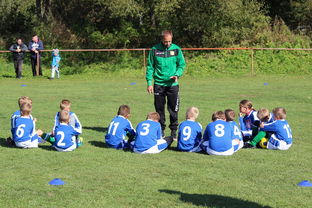 九游游戏中心-中国足球年度战术视频分析内容频次统计，中国足球战术风格