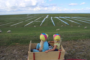 九游体育网站-青少年足球训练方法现代化，青少年足球技术